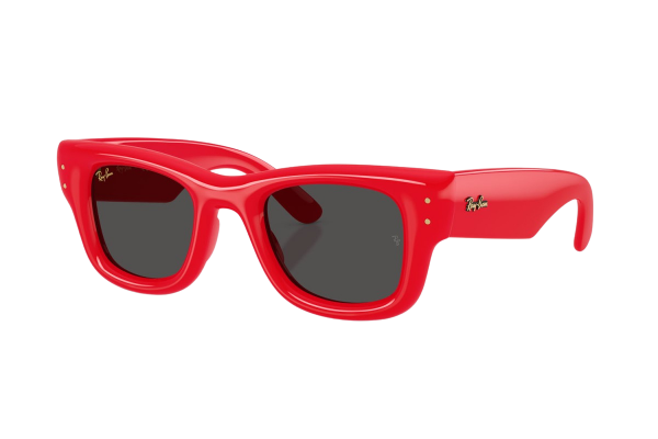 Ray-Ban  RB 4940 6831/87 Güneş Gözlüğü
