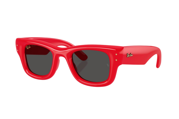 Ray-Ban  RB 4940 6831/87 Güneş Gözlüğü
