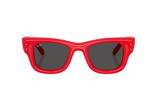 Ray-Ban  RB 4940 6831/87 Güneş Gözlüğü