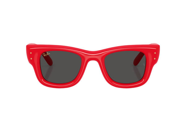 Ray-Ban  RB 4940 6831/87 Güneş Gözlüğü