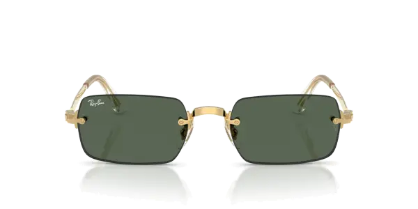 Ray-Ban 3928 001/71 54 Güneş Gözlüğü