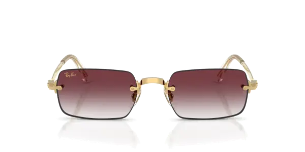 Ray-Ban 3928 001/8H 54 Güneş Gözlüğü