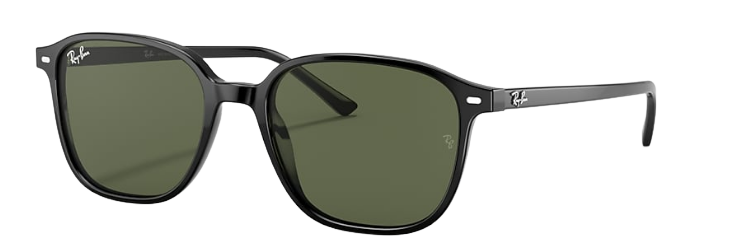 Ray-Ban RB 2193 901/31 53