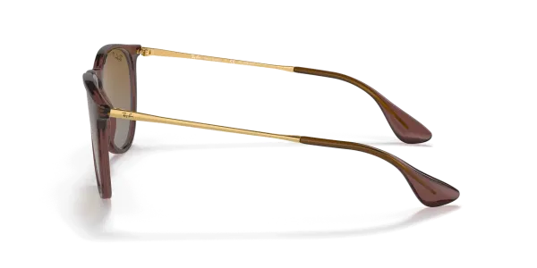Ray-Ban  RB 4171 6593/T5 54 Güneş Gözlüğü