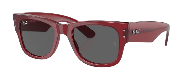 Ray-Ban  RB Ray-Ban  RB 0840-S 6679/B1 51