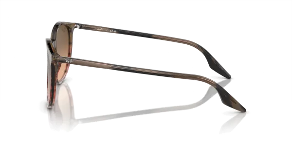 Ray-Ban RB 2204 1395/3B 51 Güneş Gözlüğü