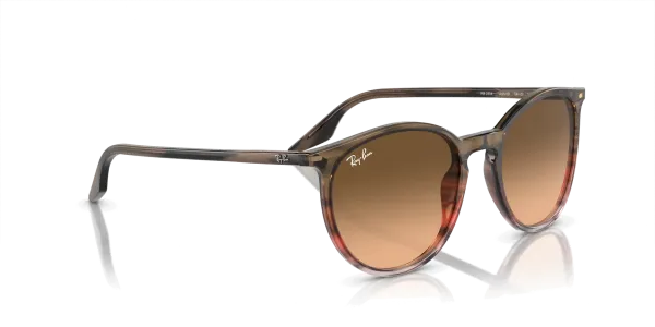 Ray-Ban RB 2204 1395/3B 51 Güneş Gözlüğü