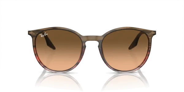 Ray-Ban RB 2204 1395/3B 51 Güneş Gözlüğü