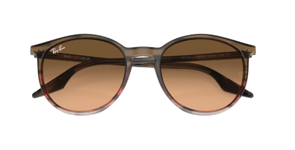 Ray-Ban RB 2204 1395/3B 51