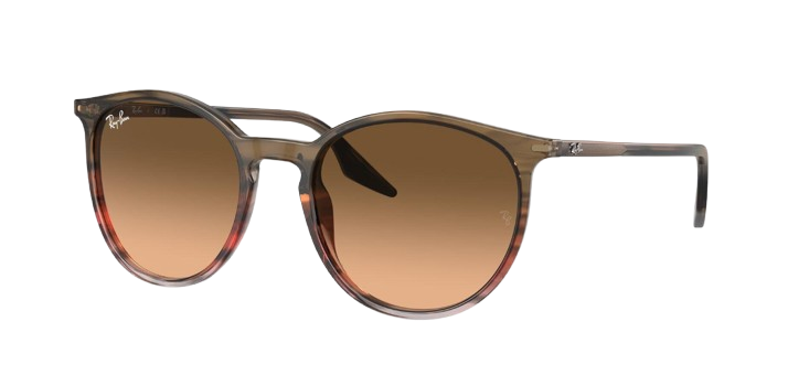 Ray-Ban RB 2204 1395/3B 51