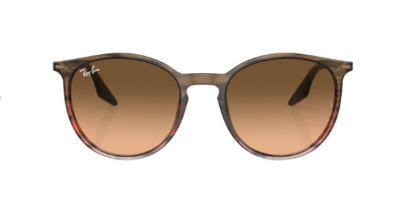 Ray-Ban RB 2204 1395/3B 51