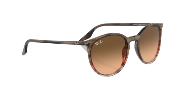 Ray-Ban RB 2204 1395/3B 51