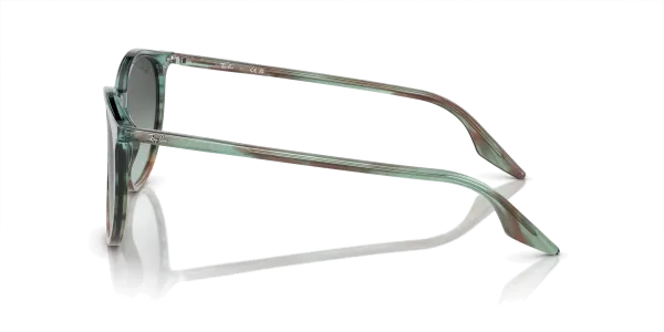 Ray-Ban RB 2204 1394/GK 51 Güneş Gözlüğü
