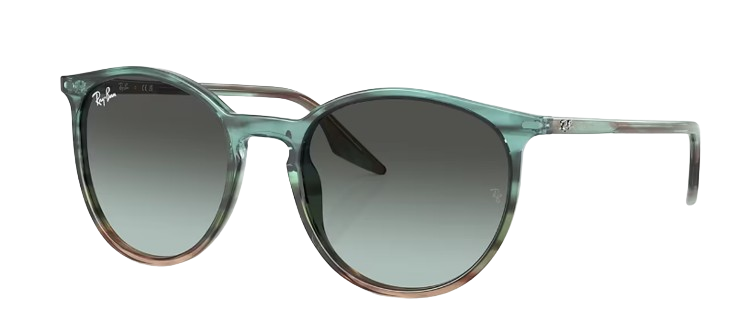 Ray-Ban RB 2204 1394/GK 51