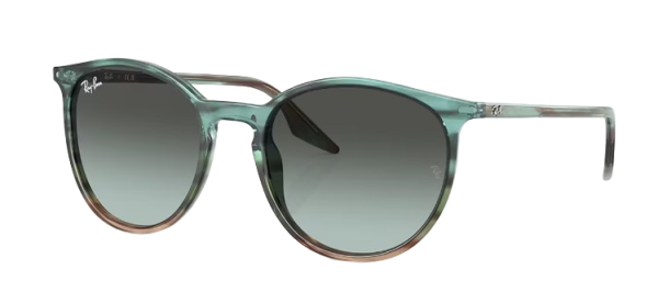 Ray-Ban RB 2204 1394/GK 51