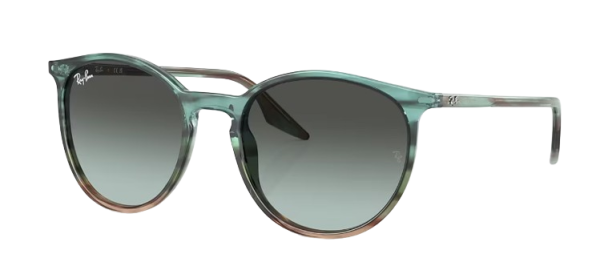 Ray-Ban RB 2204 1394/GK 51