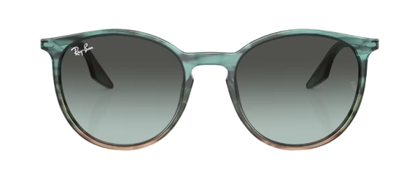 Ray-Ban RB 2204 1394/GK 51
