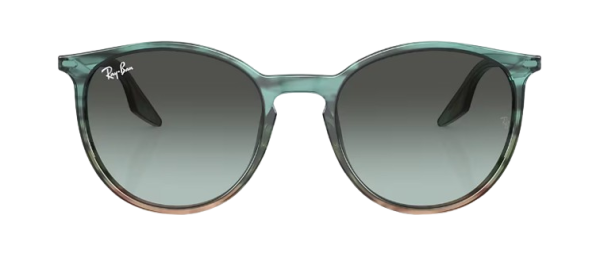 Ray-Ban RB 2204 1394/GK 51