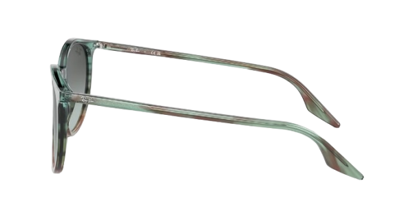 Ray-Ban RB 2204 1394/GK 51