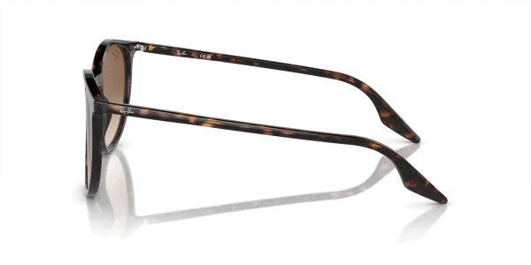 Ray-Ban RB 2204 902/51 51 Güneş Gözlüğü
