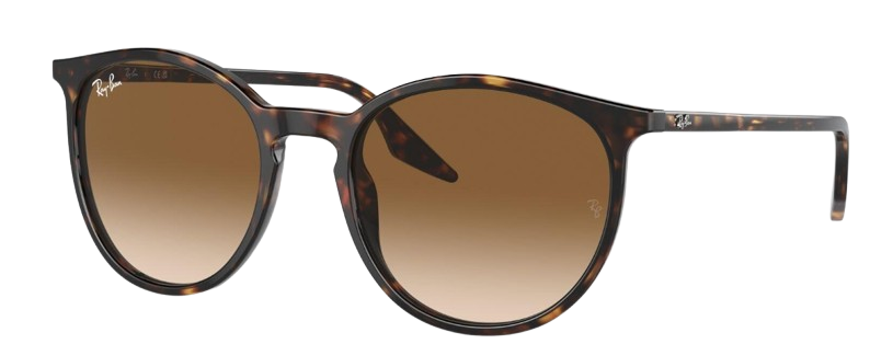 Ray-Ban RB 2204 902/51 51