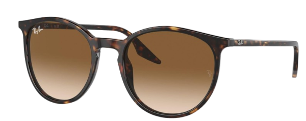 Ray-Ban RB 2204 902/51 51
