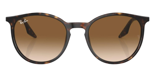 Ray-Ban RB 2204 902/51 51