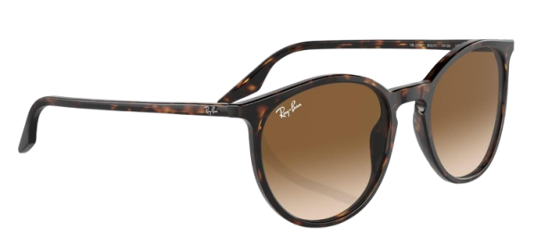 Ray-Ban RB 2204 902/51 51