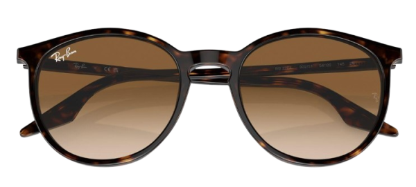 Ray-Ban RB 2204 902/51 51