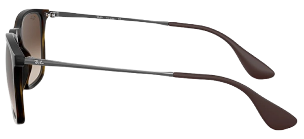 Ray-Ban RB 4187 622/8G 54