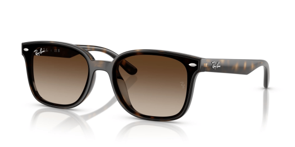 Ray-Ban RB 4461D 710/13 64