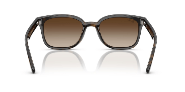 Ray-Ban RB 4461D 710/13 64