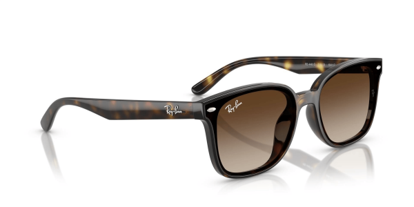 Ray-Ban RB 4461D 710/13 64