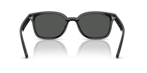 Ray-Ban RB 4461D 601/87 64